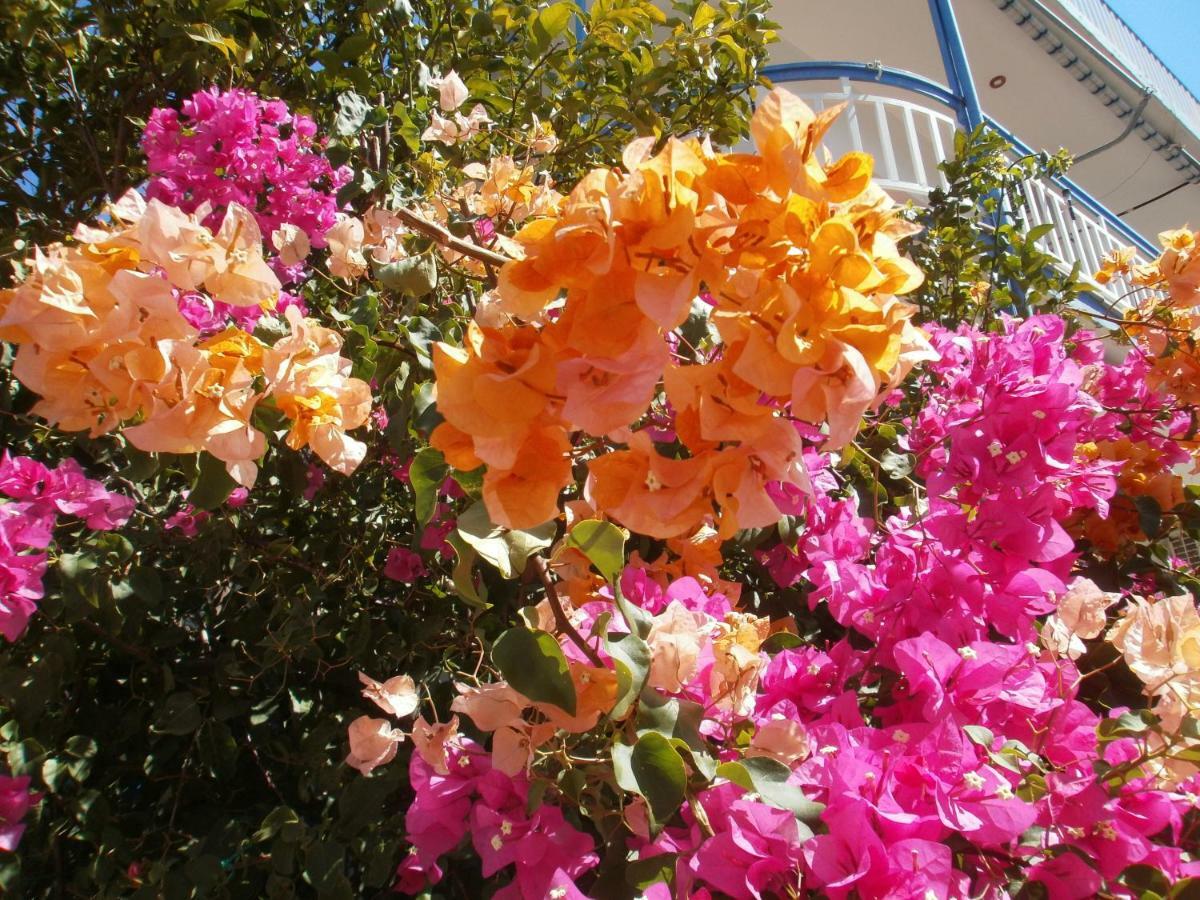 קסירופיגאדו Seaview - Selfcatering Apartment - Helen No 2 מראה חיצוני תמונה